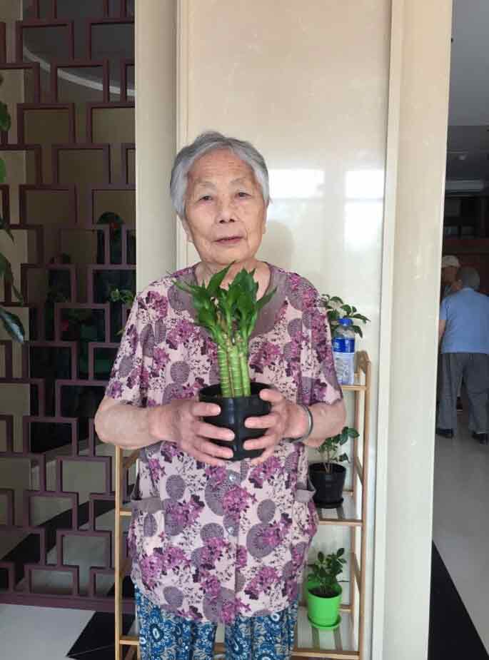金悦养老院开展“花卉达人”活动